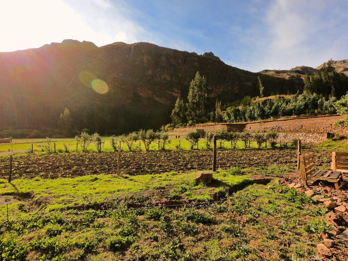 Hatha Art Yoga Pisac Exteriör bild